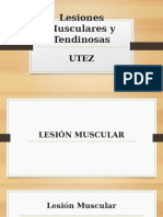 Lesiones Musculares y Tendinosas