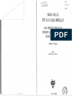 Arthur Danto - Más Allá de La Caja Brillo PDF