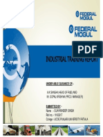 316838503-Federal-Mogul.pdf