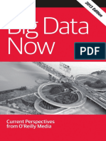 Big Data Now 2013