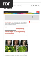 Download Hanya Dengan Daun Jambu Biji Rambut Tumbuh Menggila  Rambut Rontok Bisa Tumbuh Dengan Cara Ini Begini Caranya Mohon Disebarkan - Info Herbalis by Susilo Zamhari Monchozs SN328379279 doc pdf