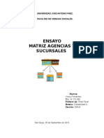 Ensayo de Matriz, Agencias y Sucursales