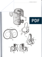 Kapandji, A. I. - Fisiología Articular 2 - Miembro Inferior (Parte 2 de 4) PDF