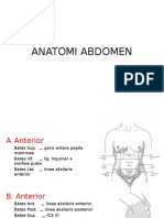 Anatomi Abdomen Anterior dan Dalam