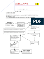 Microsoft Word - Esquema Juicio Oral