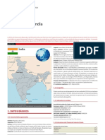 India_FICHA PAIS.pdf