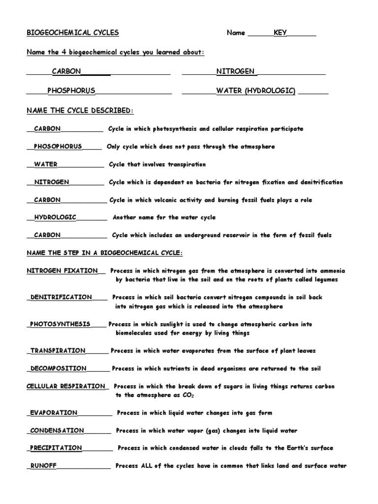 Cycles Worksheetanswers  PDF  Nitrogen  Soil For Nutrient Cycles Worksheet Answers