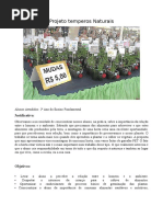 Projeto temperos Naturais.docx