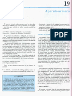Cap 19-Aparato Urinario PDF