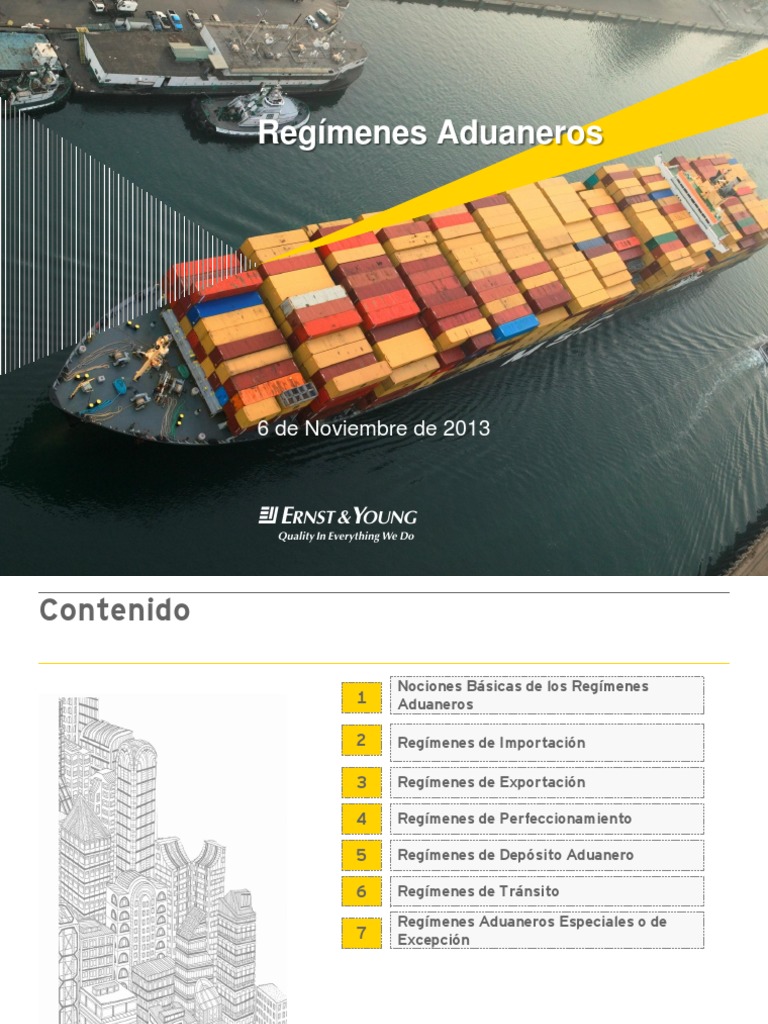 Guía Completa de Regímenes Aduaneros | PDF | aduana | Arancel