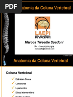 Anatomia Da Coluna Vertebral