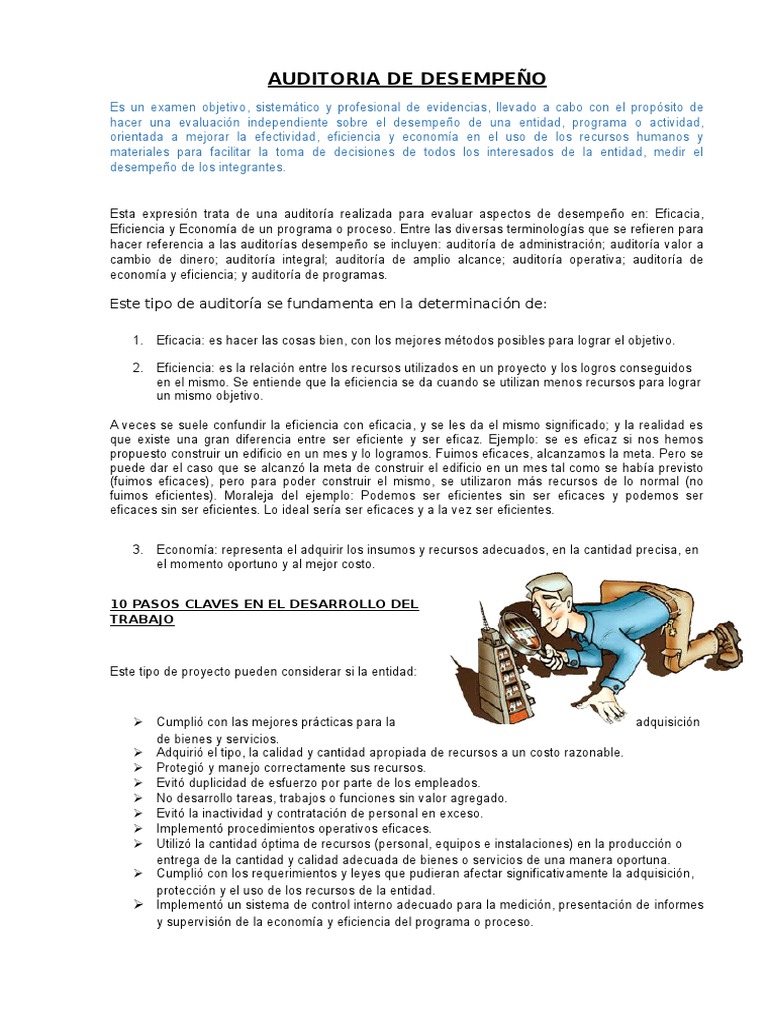 Auditoría de Desempeño: Eficacia y Eficiencia | PDF | Calidad ...