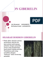 HORMON GIBERELIN.ppt