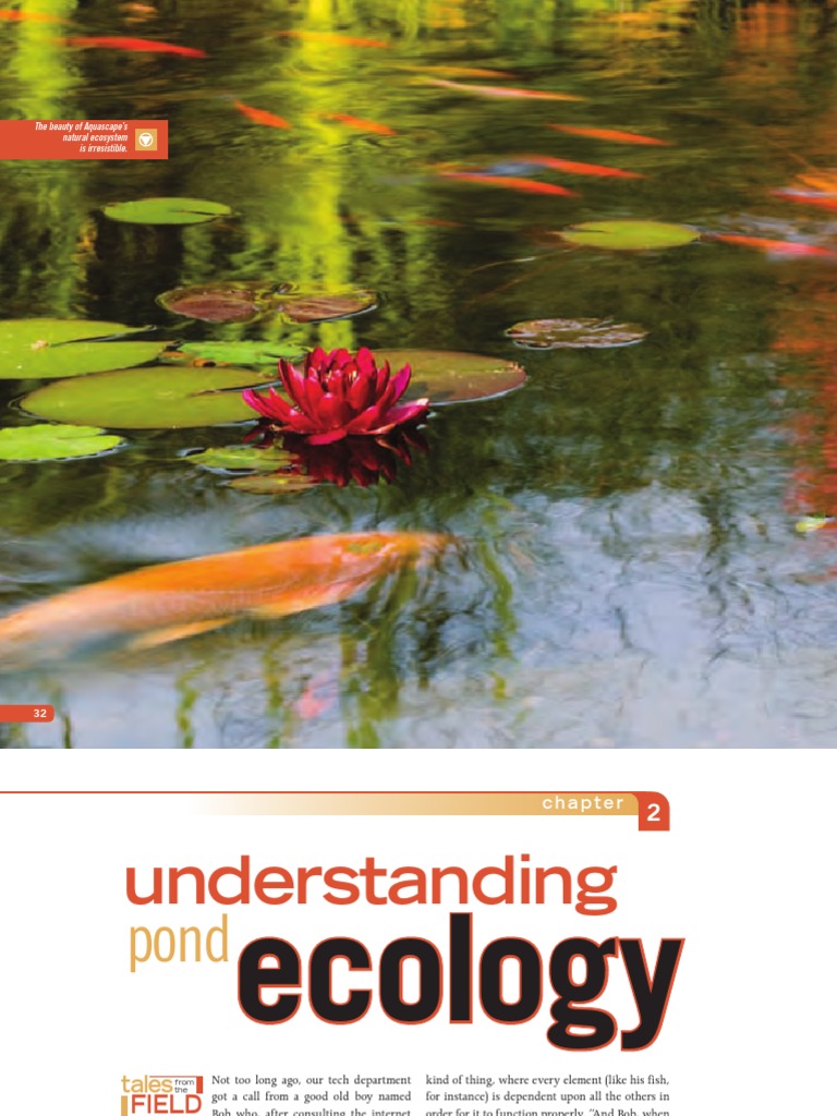 Understanding Pond Ecosystems | PDF | Nutrients | Ph