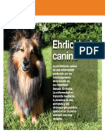 AV 25 Ehrlichiosis Canina PDF