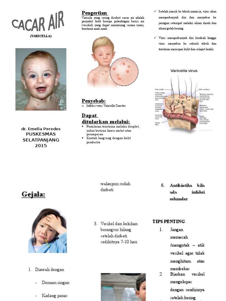 Leaflet Varisela | PDF