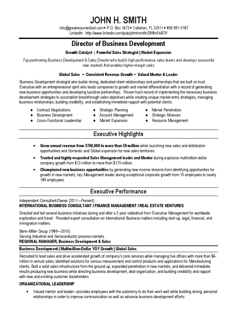 Business Development Executive Profile | PDF | Business Development | Sales