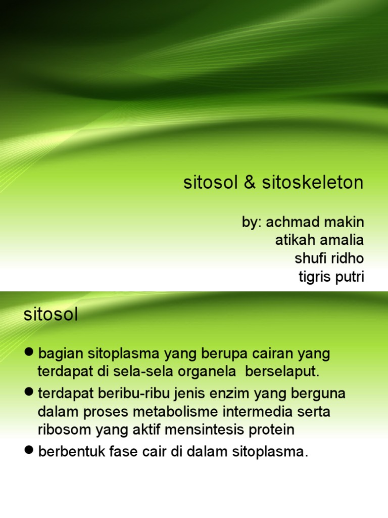 Fungsi dan Struktur Sitosol Sel | PDF | Kesehatan Holistik | Sains ...