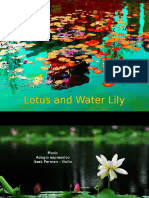 Iar Lotus