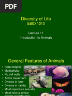 Diversity of Life: EBIO 1010