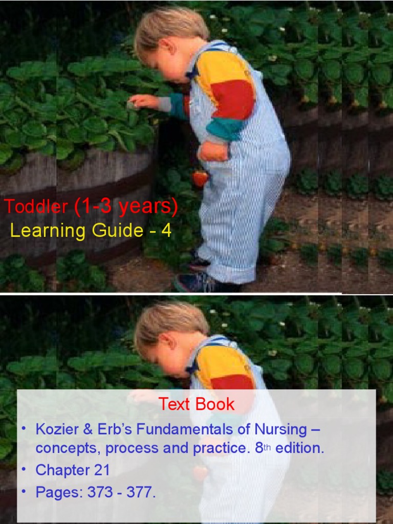 Toddler PDF Language Development Toddler