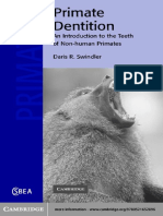 Primate Dentition