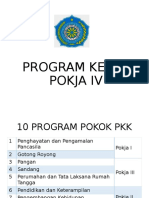 Program Prioritas Pokja IV TP PKK Kab. Kapuas - Sosialisasi 2016