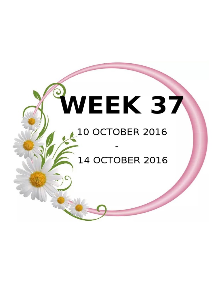 Week 37: 10 OCTOBER 2016 - 14 OCTOBER 2016 | PDF