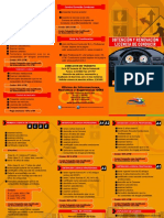 Licencia de Conducir PDF