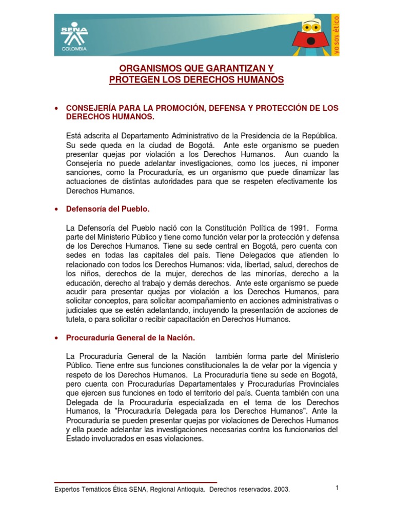 Organismos Que Garantizan y Protegen Los Derechos Humanos PDF | PDF ...