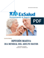 Plan Día Mundial Del Adulto Mayor