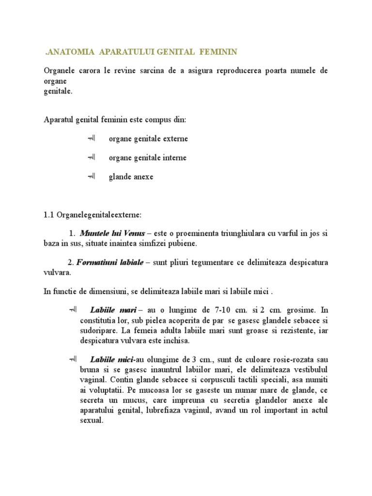 Anatomia Aparatului Genital Feminin | PDF
