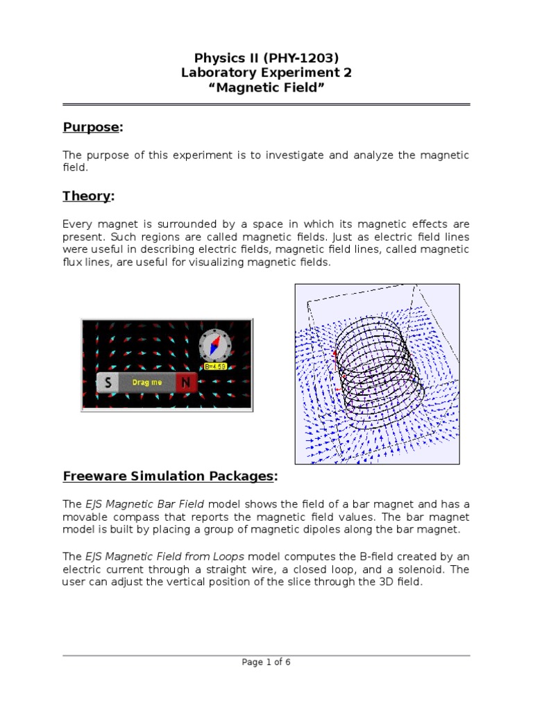 Magnetic Field Experiment Report | PDF | Magnetic Field | Magnet