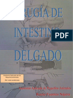 468897967.INTESTINODELGADOL.pdf