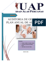 stION y Plan Anual de Auditoria