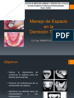 CLASE 16 Mantenedores de Espacio PDF