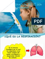 La Respiración en El Ser Humano