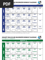 Insanity Max30 ABS MAXIMIZER Calendar PDF