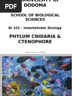 Lecture 5 - Cnidarian and Ctenophores - PPT Final