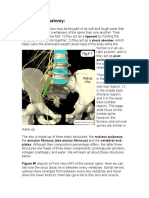 Basic Disc Anatomy