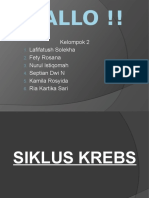 Siklus Kreb