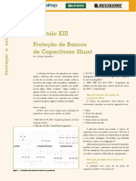 protecao bancos _capXIII.pdf