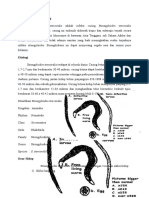 Defisini Dan Epidemiologi