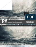 Ipm Integrated Well Abandonment BR