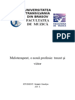 Meloterapie - o Profesie Nouă, Trecut Și Viitor