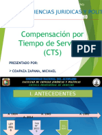 Presentacion Cts 1