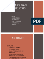 KLMPK 2 (Antraks Dan Brucellosis)