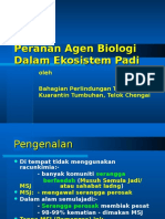 Biocontrol Perosak Padi