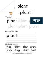 Firstword Plant