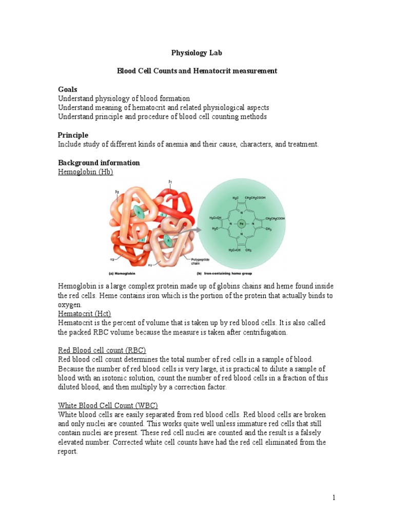 Blood Cell Counting and Hematocrit Methods | PDF | Red Blood Cell ...